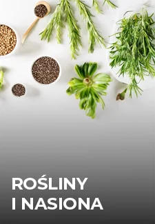 kat_rosliny_nasiona.webp